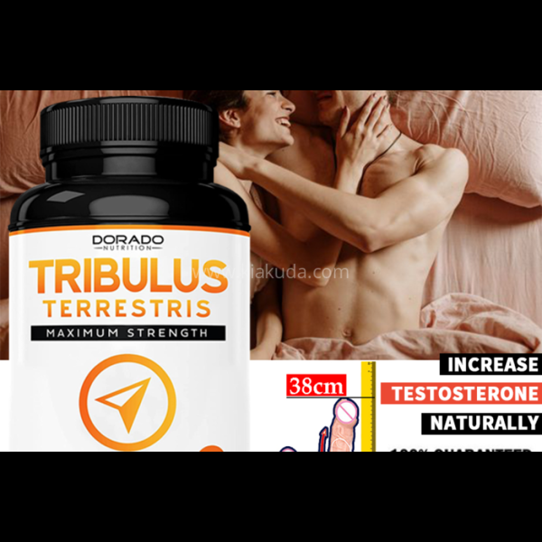 Tribulus Terrestris pour hommes aphrodisiaque