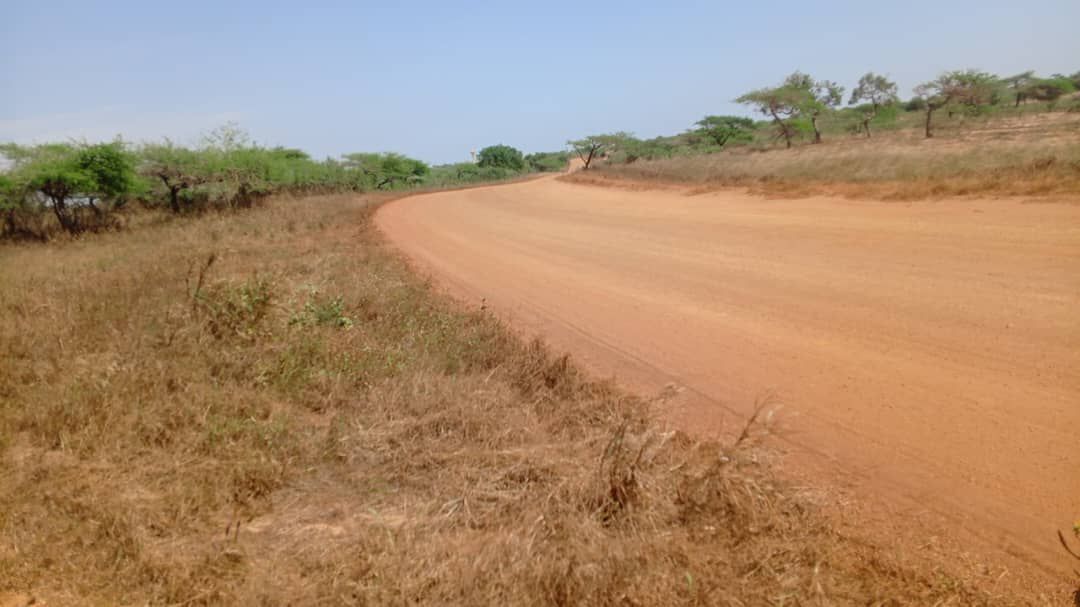 Terrains agricole à Mboro