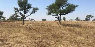 Terrains de 300 mètres carrés à vendre à Malicounda Sénégal