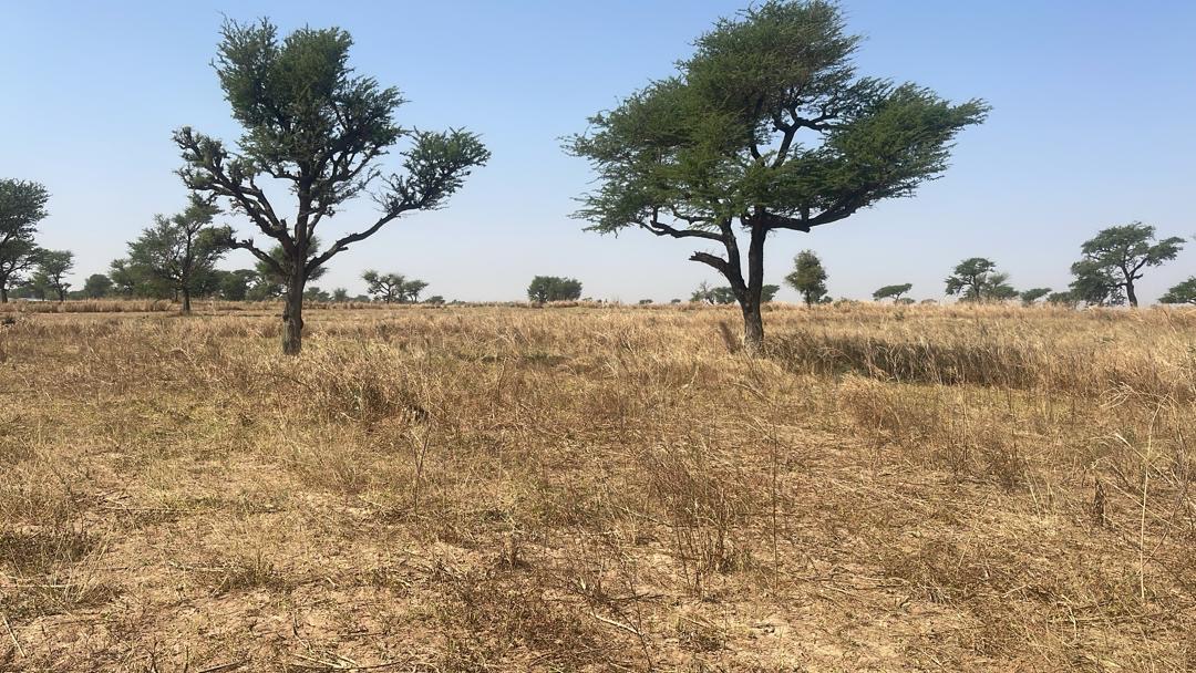 Terrains de 300 mètres carrés à vendre à Malicounda Sénégal