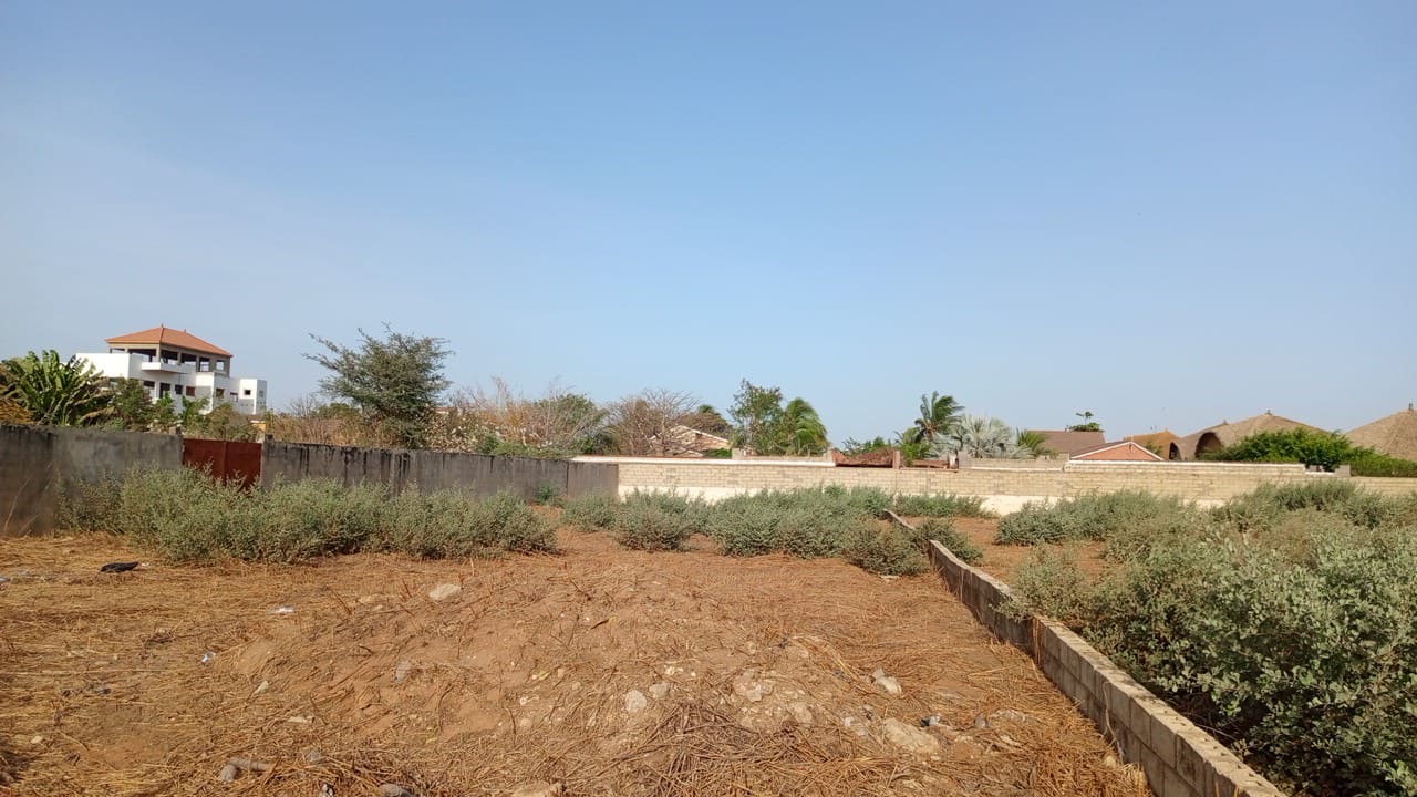 Terrain de 1500 mètres carrés à vendre à Saly Sénégal