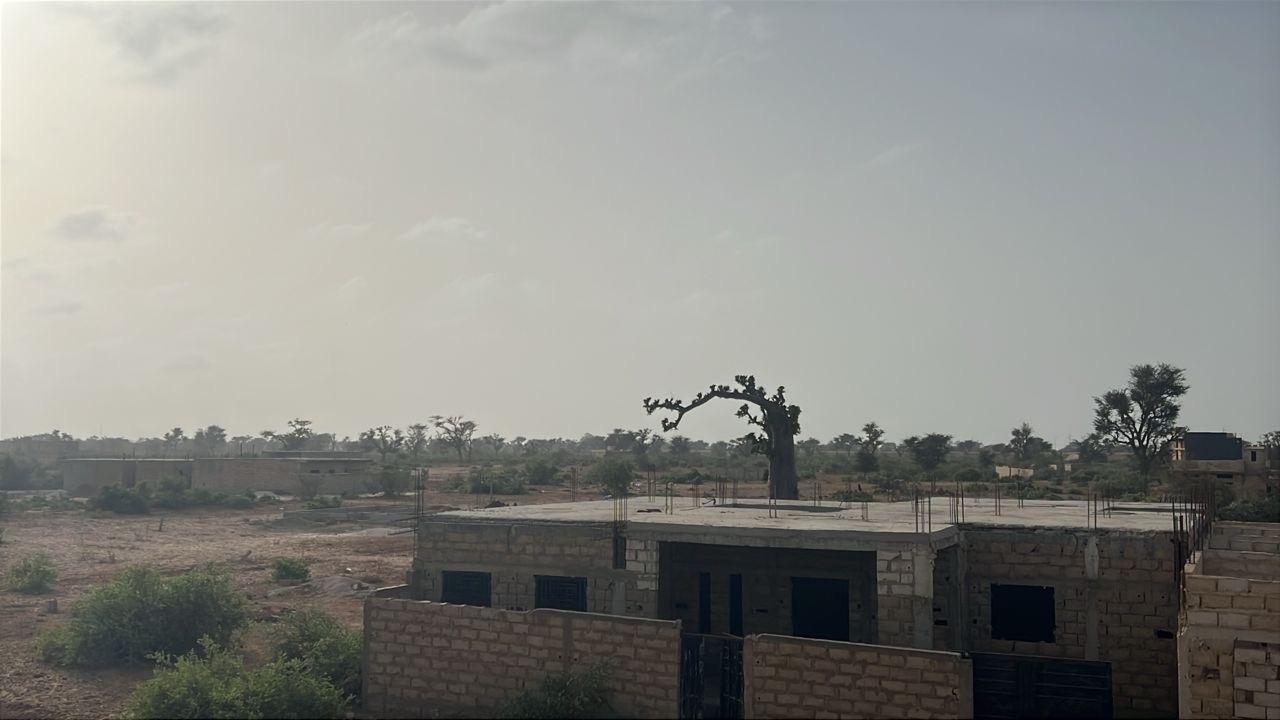 Terrain de 300 mètres carrés à vendre à Malicounda Sénégal