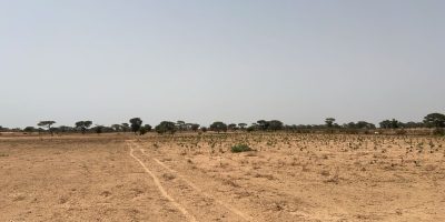Terrain agricole de 10 hectares à vendre à Tassette Sénégal