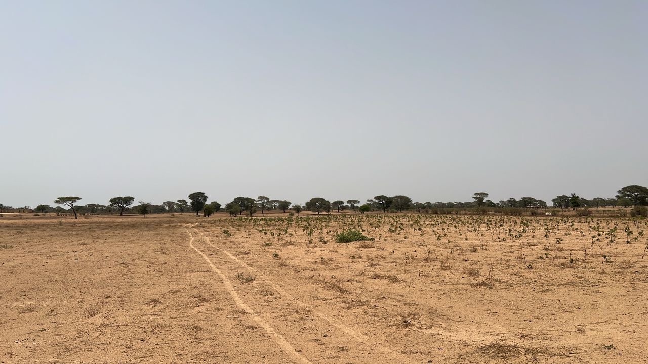 Terrain agricole de 10 hectares à vendre à Tassette Sénégal