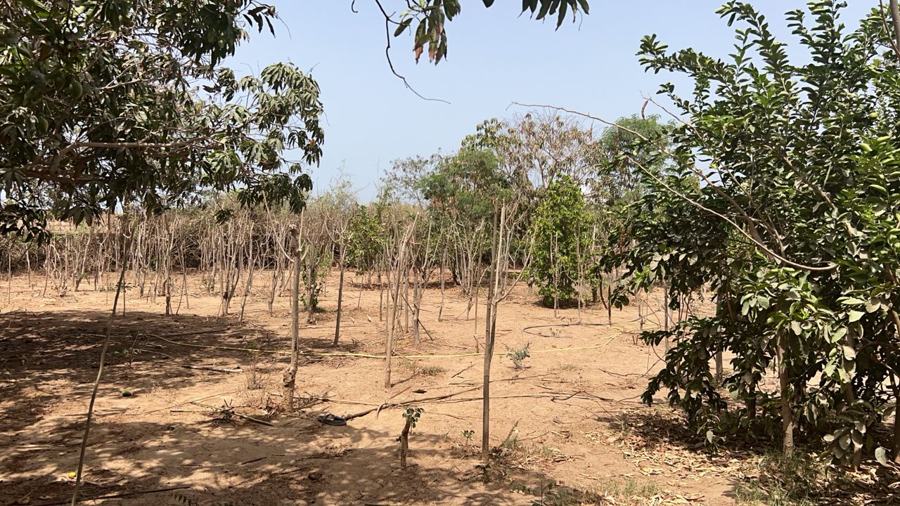 Terrains de 600 mètres carrés à vendre à Saly Sénégal