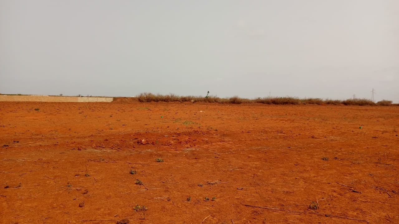 Terrains de 225 mètres carrés à vendre à Sindia Sénégal