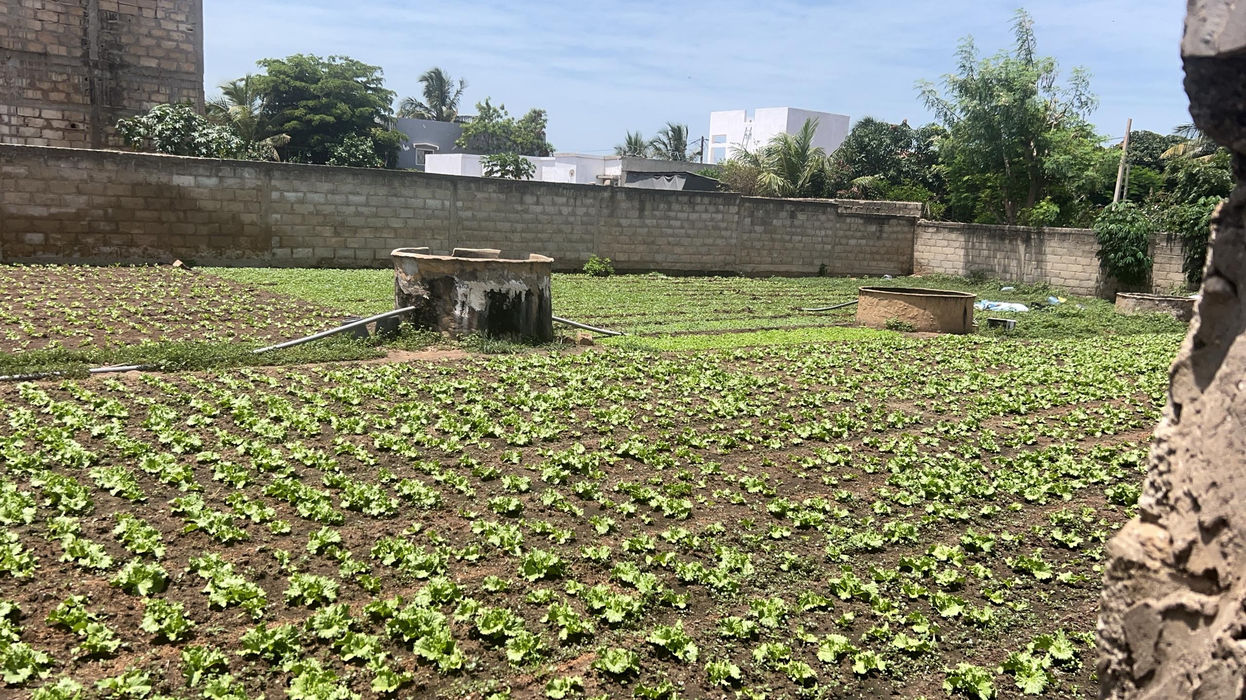 Terrain de 555 mètres carrés à vendre à Saly SENEGAL