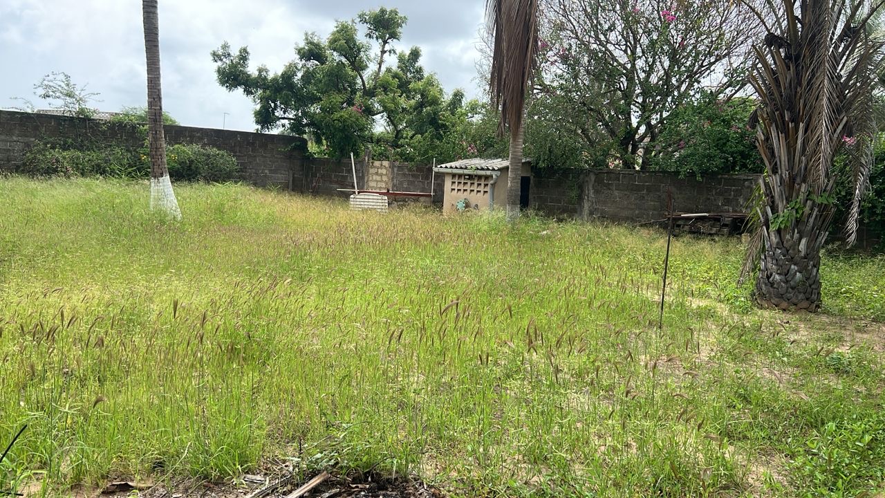 Terrain de 1000 mètres carrés à vendre à Warang Sénégal