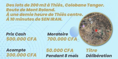 Terrains de 200 mètres carrés à vendre à Thiès Sénégal