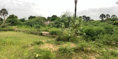 Terrain de 1200 mètres carrés à vendre à Saly Sénégal