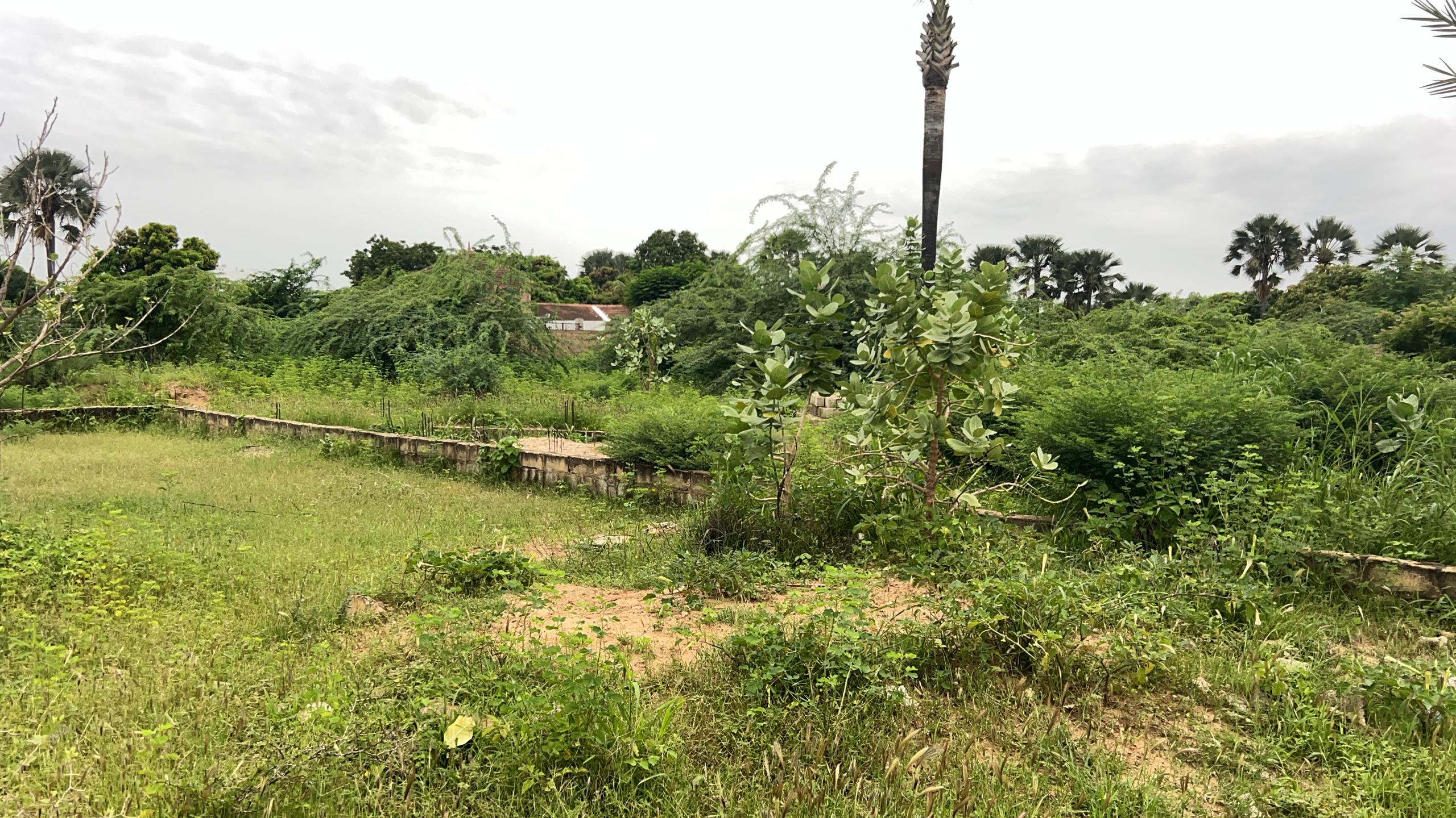 Terrain de 1200 mètres carrés à vendre à Saly Sénégal