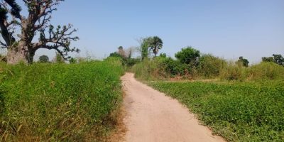 Terrain-1hect-a-Louly-Ngomene-02