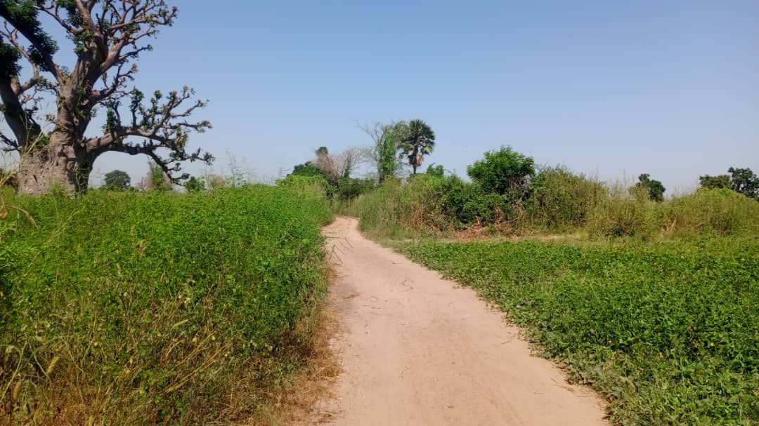 Terrain de 1 hectare à vendre à Louly Ngomène