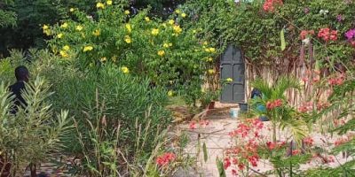 Terrain-2000m2-a-warang-01