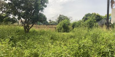 Terrain-300m2-a-Saly-02-2