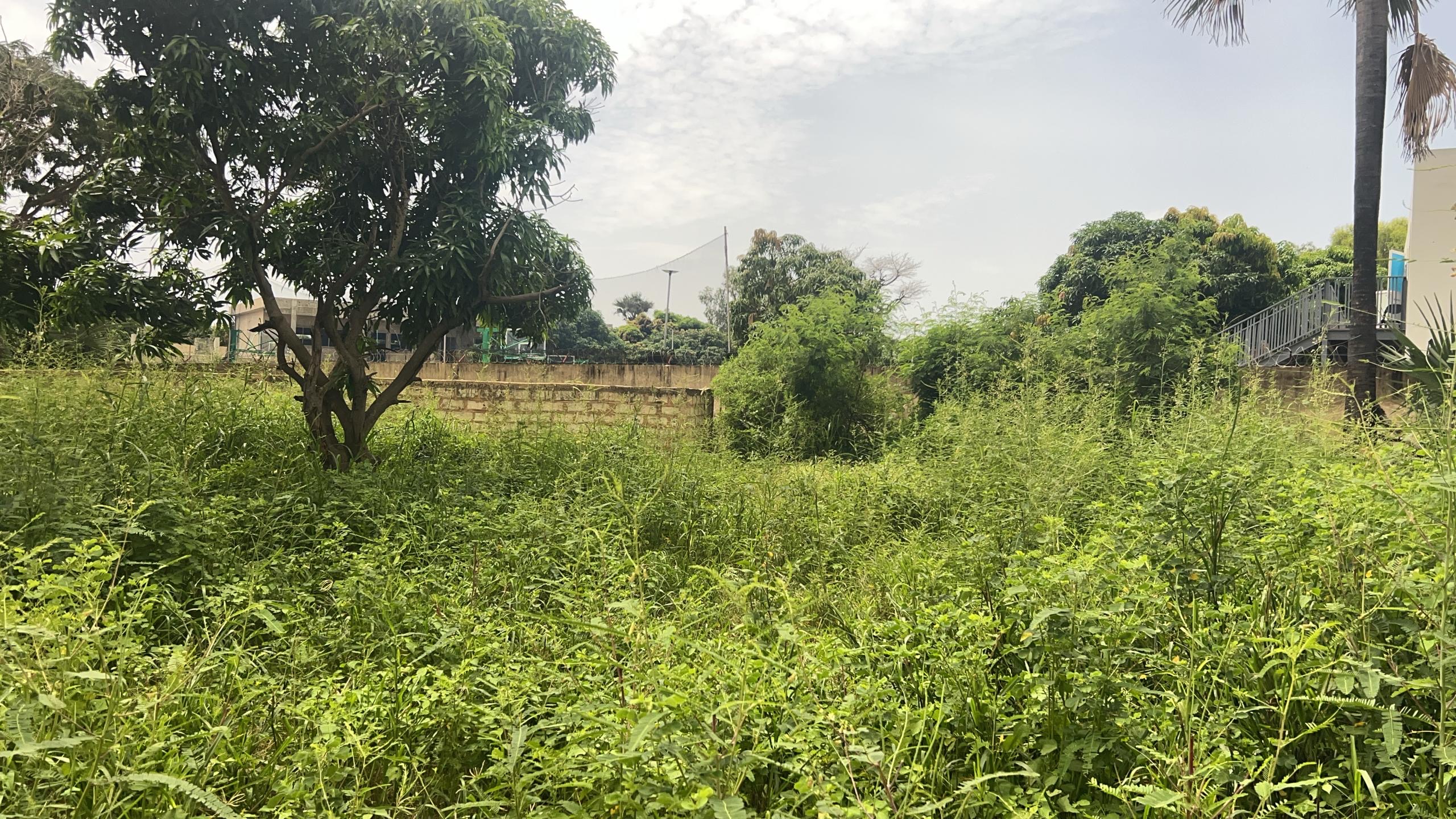 Terrains 300 mètres carrés à vendre à Saly Joseph