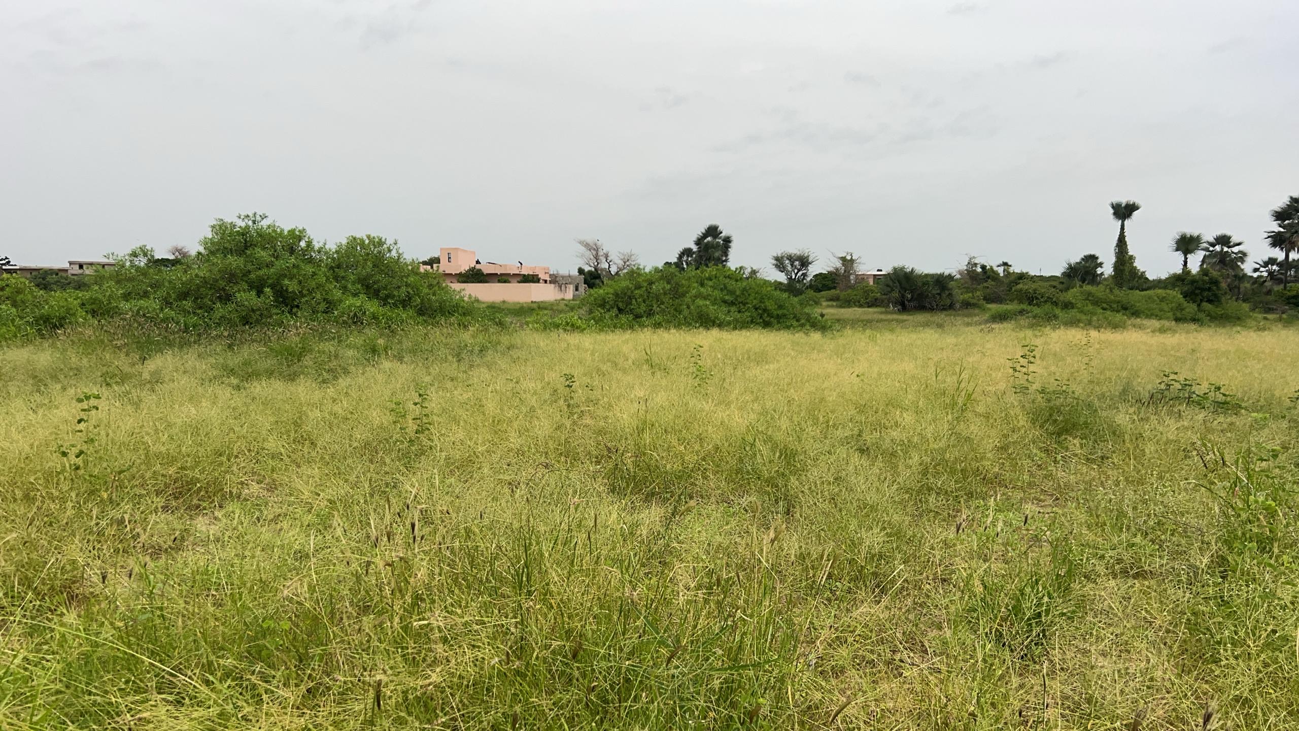 Terrains de 300 mètres carrés à vendre à Saly Sénégal