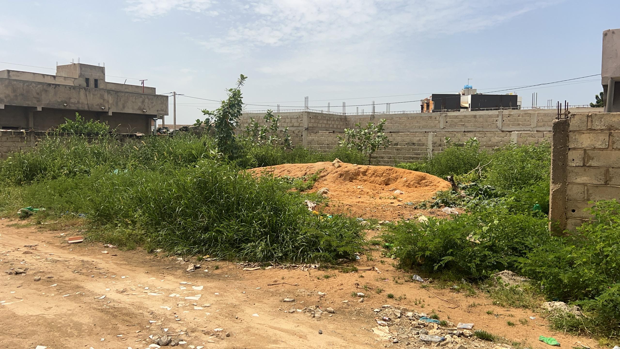 Terrain de 300 mètres carrés à vendre à Saly Sénégal