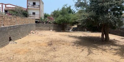 Terrain-de-400m2-a-Saly-03