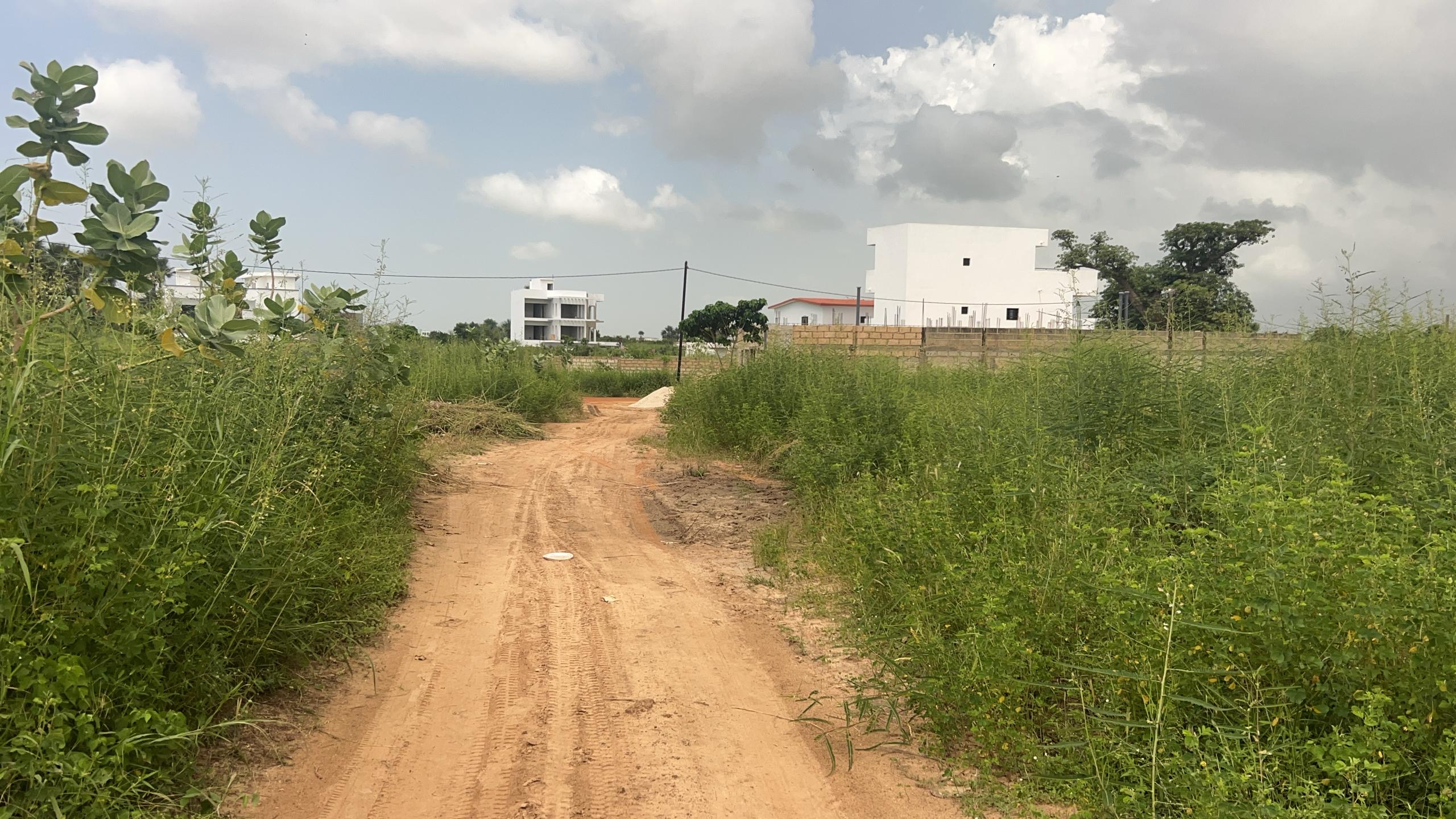 Terrains de 300 mètres carrés à vendre à Saly Sénégal