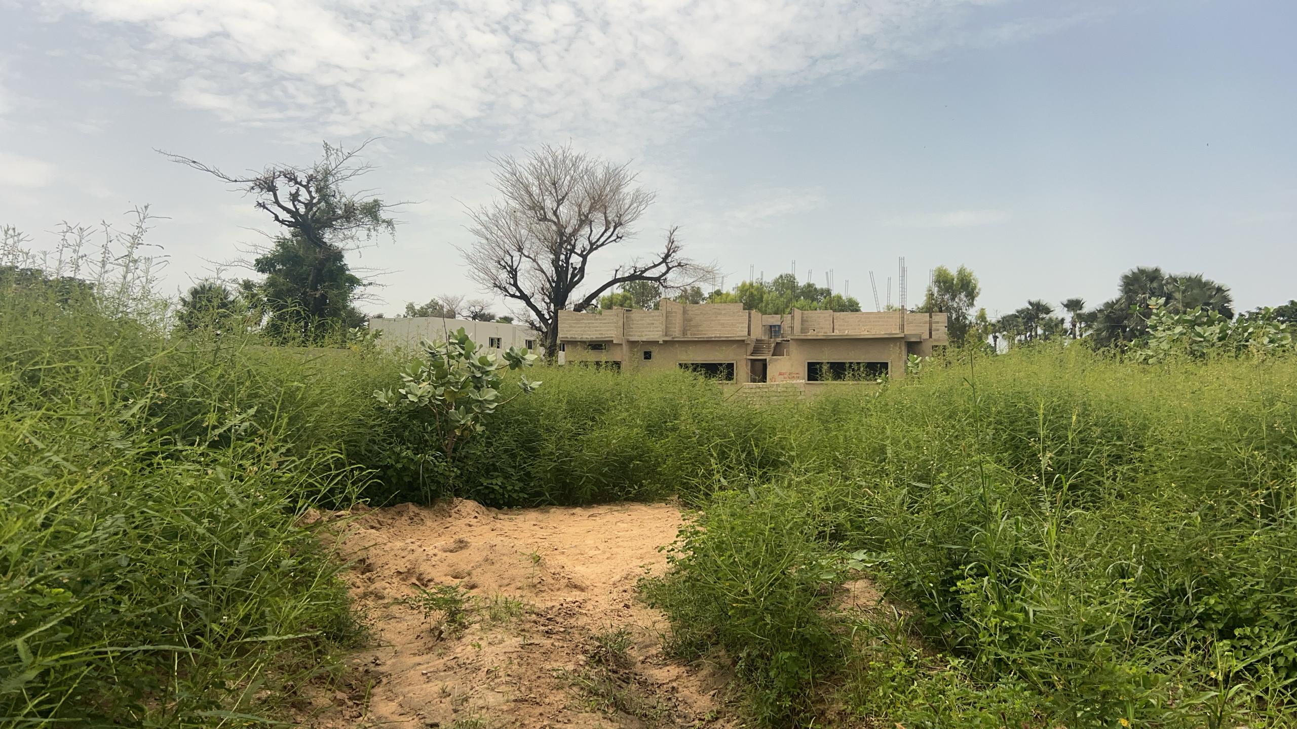 Terrains de 300 mètres carrés à vendre à Saly Sénégal